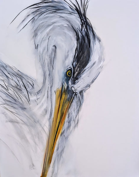 An expressive heron portrait 