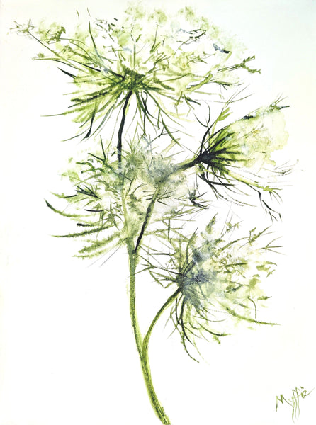 Original Cow Parsley painting by Myffie Coady featuring delicate white seed heads on a soft neutral background.